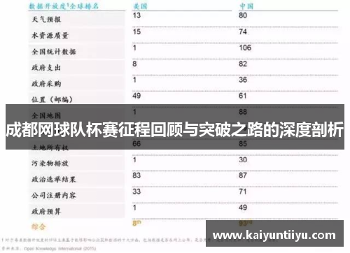 成都网球队杯赛征程回顾与突破之路的深度剖析